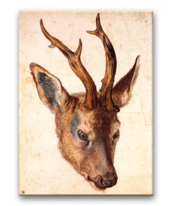 Obraz Albrecht Dürer - Głowa jelenia