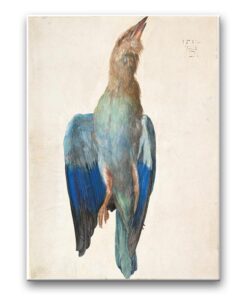 Obraz Albrecht Dürer - Martwa kraska