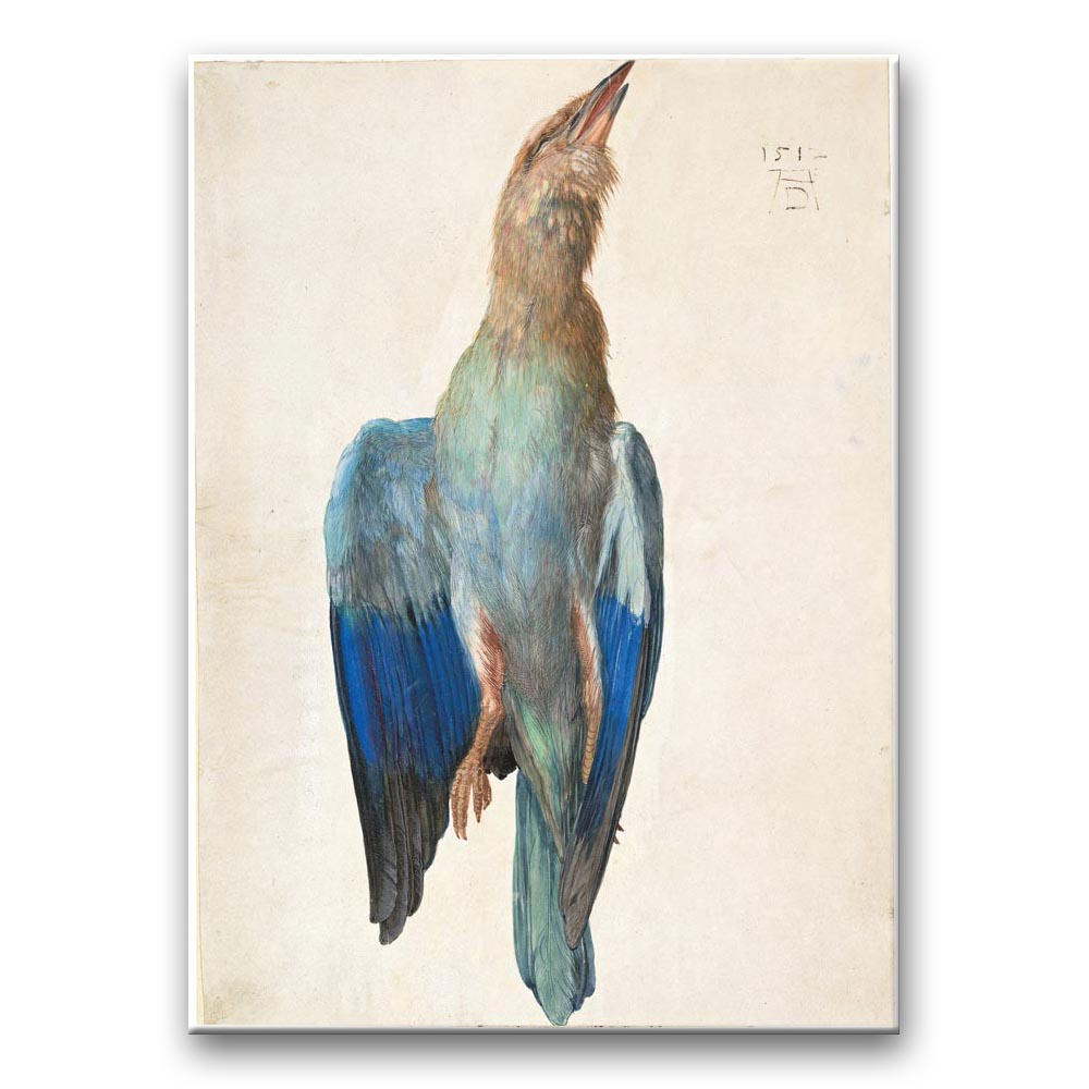 Obraz Albrecht Dürer - Martwa kraska