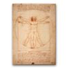 Obraz Leonardo da Vinci - Człowiek witruwiański