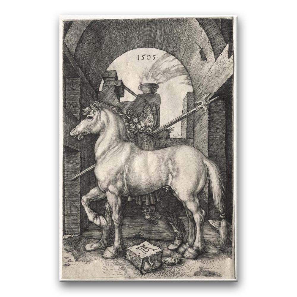 Obraz Albrecht Dürer - Mały koń