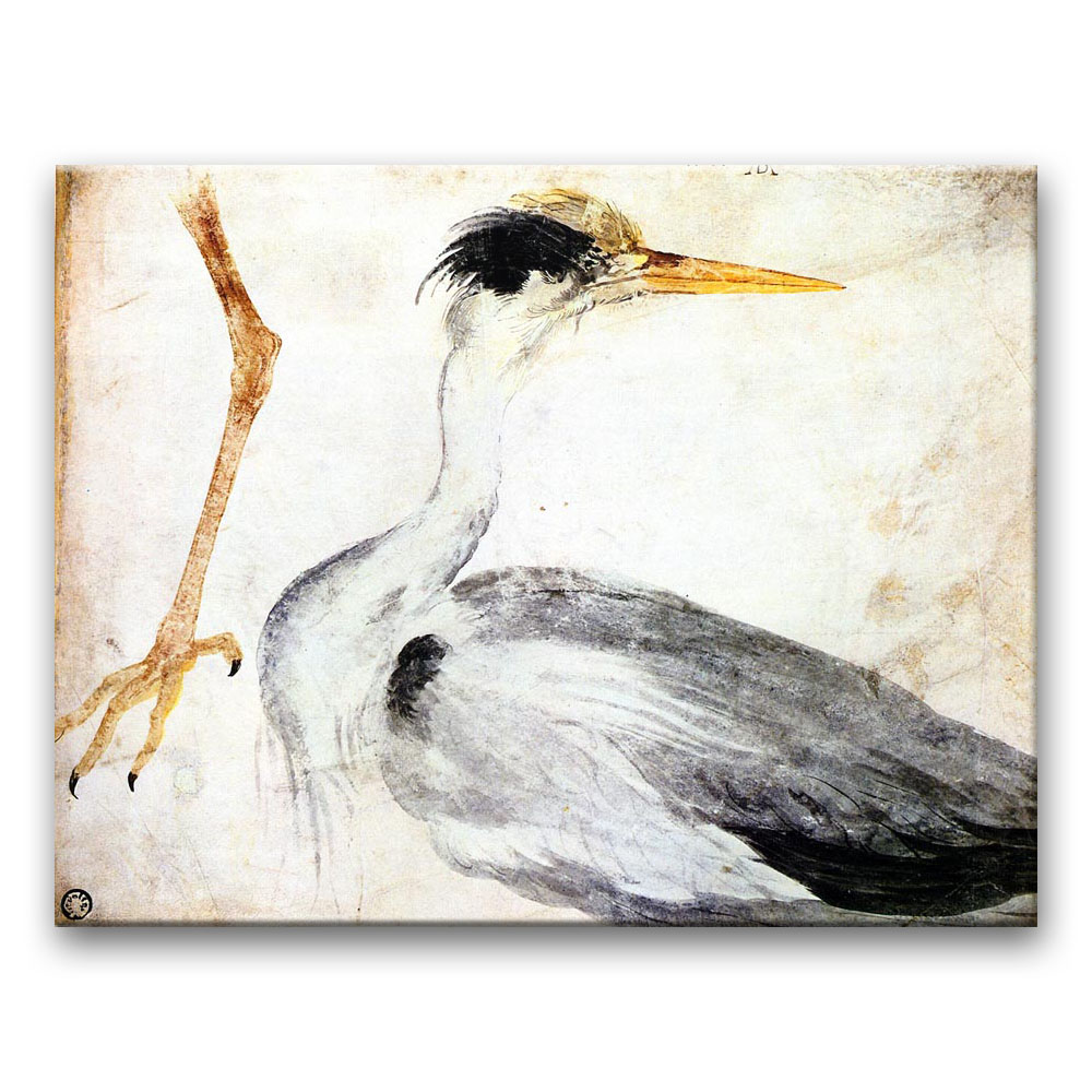 Obraz Albrecht Dürer - Czapla