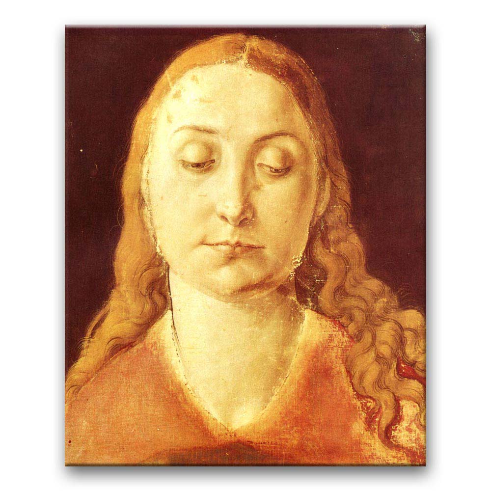 Obraz Albrecht Dürer - Głowa kobiety
