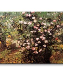 Obraz Vincent van Gogh - Kwitnący krzak róży