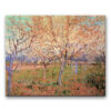 Obraz Vincent van Gogh - Sad z kwitnącymi morelami