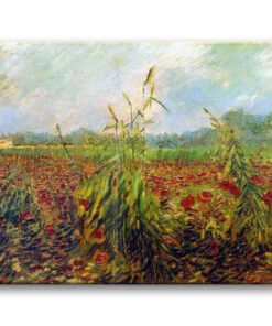 Obraz Vincent van Gogh - Zielone kłosy pszenicy